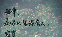 寂寞的距离_700字