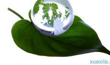 环保演讲稿：保护耕地，人人有责