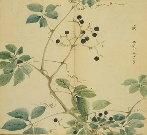 东门s