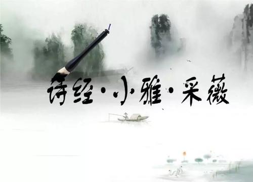 采摘