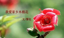 我爱家乡的木棉花_450字