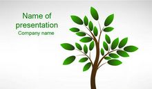 植树节的故事_250字