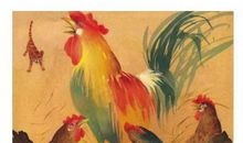 公鸡和猫换工作_300字