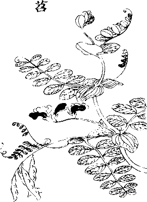 防止喜s的巢