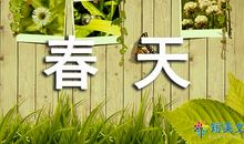真正的民意_400字