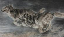 一只跛狼的奋斗