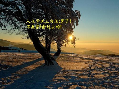 我的生活（第56章）九个魔法蛇学生_1000个单词