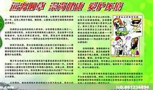 保护环境_500字