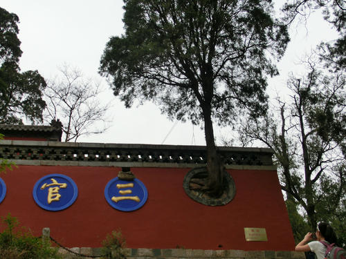 夜漆_1200字