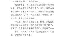 美丽的家乡_350字