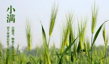 “小满”之后，得须“忙种”_350字