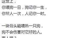 天热，但心不热_500字