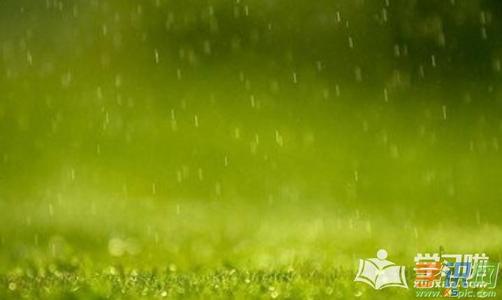 春雨_600字