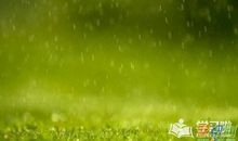 春雨_600字