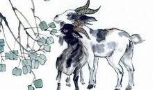 绒鸭急中生智_500字