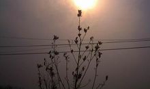 我品尝到了泪水的滋味_650字