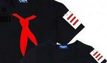 第一次洗红领巾_250字