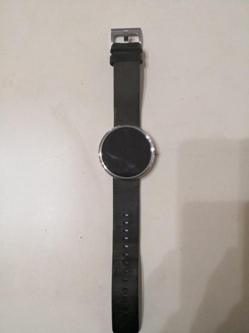 马会飞！ _1500字