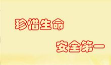 珍惜生命_2000字