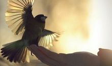 给自己一些掌声_1200字