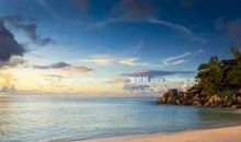 走进2011年_650字