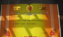 第一次做三好学生_550字