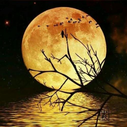 满月之夜_400字