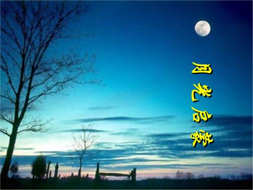 我的启蒙老师_750字
