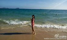 我的幸福之路_550字