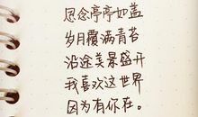 我的文字里，悄悄的有个你_1200字