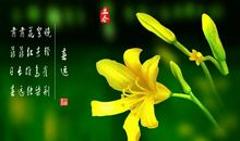 [春天来了]春晨的精灵_800字