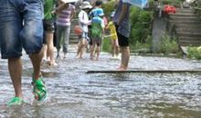 淡淡的友情，淡淡的爱_800字