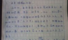 关于奥运的作文：我们心中的“奥运梦”_800字