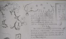 家人的嗜好_550字