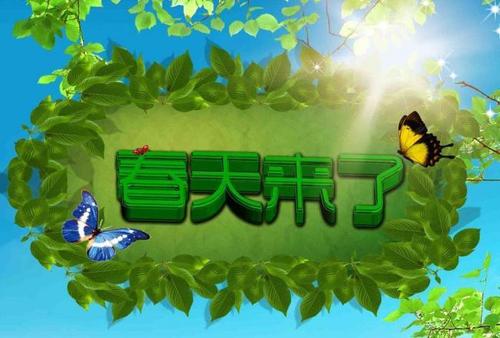 [春天在这里]春天在这里_450个单词