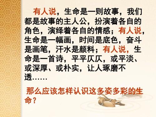 [PK赛]关于人生的构想：如果失去生命，就不会珍惜它_500字