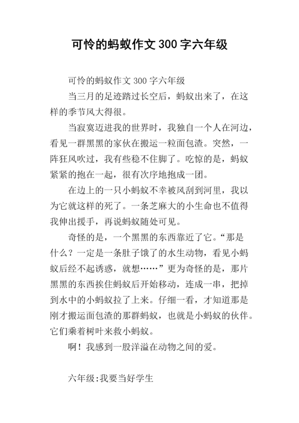首日写作：Ant_900字