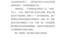 初一状物作文：蚂蚁_900字