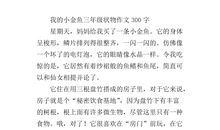 初一状物作文：金鱼_800字