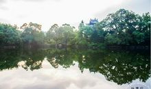 独特的风景_900字