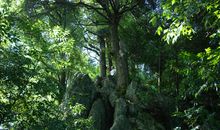 掰开十月，还依稀可见_350字