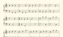 关于鸟的作文：笨鸟先飞_700字