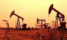 没有理由_1500字