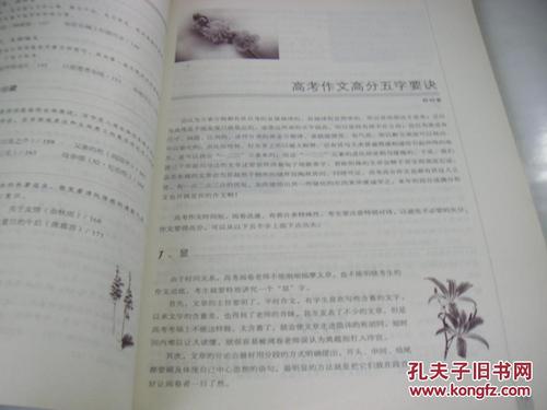第一件事的组成：梅花_1000字