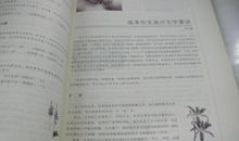 初一状物作文：梅花_1000字