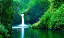 游庐山瀑布_700字