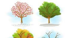 初一状物作文：莲花_500字