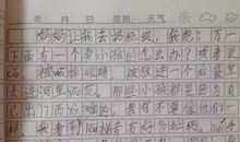 充满想象力的搞笑作文