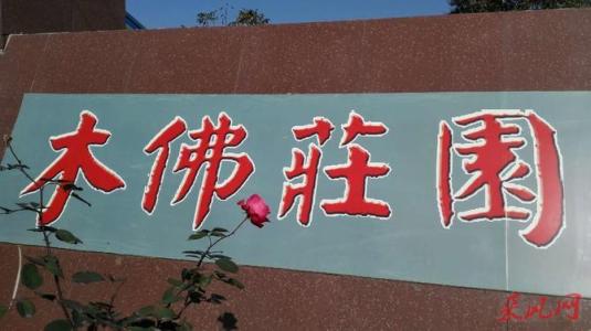[11月论文]六个palms_350个字符