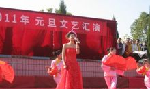 轻轻走向您身旁_300字